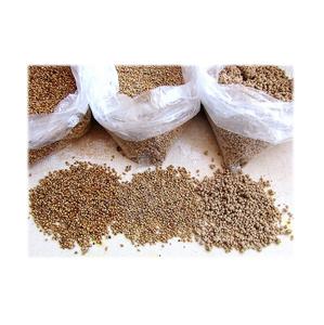 Vente en vrac de grains de millet biologique de qualité pure du fournisseur de la France en ligne - Product Image 5