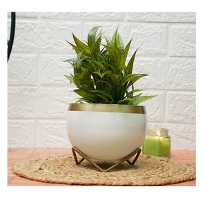 Nouvel arrivage de pots de fleurs Design classique Métal Aluminium Taille personnalisée Forme Couleur Utilisations dans la décoration de la maison et les articles de jardin - Product Image 4