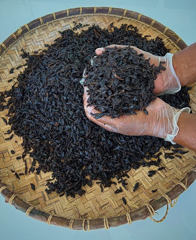 Dried Vanilla Planifolia Loose Beans Bulk