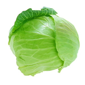 Repollo Verde Orgánico Fresco al Mejor Precio de Fábrica con Entrega Rápida - Product Image 6