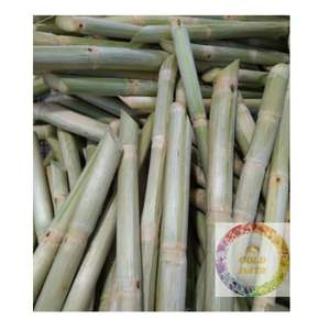 Azúcar de caña congelada Premium de Vietnam, dulzor natural y sabor refrescante, ideal para bebidas, jugos y postres - Product Image 3