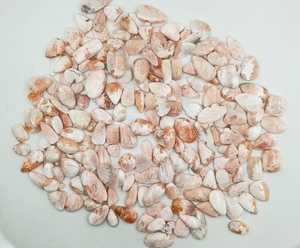 หินอัญมณีหลวม scolecite Cabochon ธรรมชาติหินอัญมณี scolecite Cabochon จำนวนมากที่ไม่ซ้ำกันสำหรับเครื่องประดับ - Product Image 3