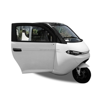 Tricycle électrique avec cabine homologué EU EEC COC L2e, scooter électrique avec cabine sans permis de conduire pour personnes âgées