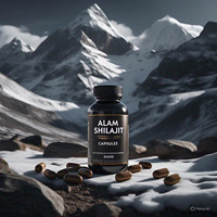 Capsules de poudre de Shilajit de l'Himalaya séchées au soleil de haute qualité, 100 % pure et naturelle, acide fulvique, soutien immunitaire, pour adultes, 60 pièces