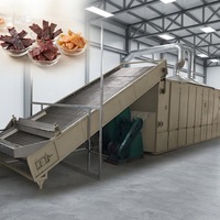 Industriële automatische energiezuinige voedselveilige banddroger met maatwerk gaasband voor het drogen van huisdiervoer, jerky, fruit, groenten en meer (meerlaags)