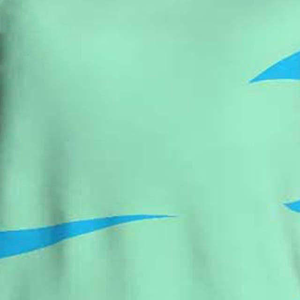 Pantalones Cortos de Baloncesto Profesionales Personalizados, Tela Transpirable de Secado Rápido, Tallas Grandes, Chaleco Totalmente Personalizable, Servicio OEM Disponible - Product Image 3