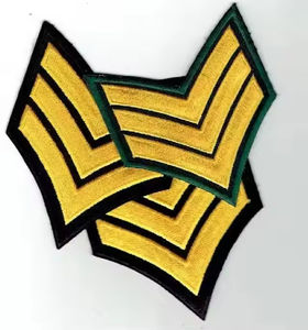 Patchs brodés Chevron uniformes de haute qualité pour les insignes de tenue de cérémonie et les insignes décoratifs Service OEM - Product Image 1