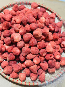 Fraises lyophilisées du Vietnam: des fraises séchées entières de haute qualité en vrac pour l'exportation, prêtes pour la qualité supérieure avec une offre compétitive - Product Image 5