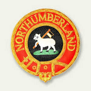 Insigne de tablier provincial du chapitre Royal Arch - Product Image 4