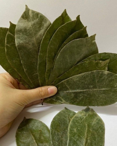 Feuilles de corossol séchées naturelles / Prêtes à être expédiées - Product Image 6