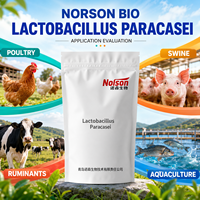 Poudre de culture de Lactobacillus Paracasei à haute stabilité pour préparations à boire, substituts de repas, formule nutritionnelle quotidienne, 100 milliards d'UFC/g