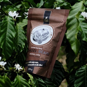 HUONG CHON Grain de café Arabica de torréfaction moyenne Saveur de belette 250g par sac Ban Me Gold Co Ltd Viet Nam Grain de café Robusta - Product Image 2