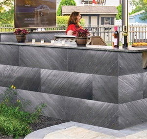 Silver Shine Black Fournisseurs de placage de pierre fine en Inde Fabricant de placage de pierre décoratif en Inde - Product Image 5