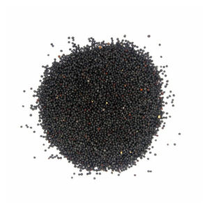 Colza en vrac pour l'extraction de l'huile et la fabrication d'aliments pour animaux à faible coût - Product Image 5