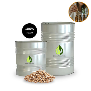 Fabricant indien Exportateurs mondiaux Organique Chironji Carrier Oil Natures Natural India Oils (Modèle NNI-CO-269)-Bulk Supply Best - Product Image 3