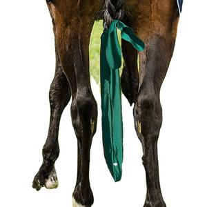 2024 Horse Guard Tail Bags Bolsa de cola de caballo para protección Ecuestre Equipar Caballo - Product Image 5