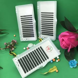 Etiqueta privada de alta calidad 0,03 Easy Fan Extensiones de pestañas individuales PBT coreanas Pestañas de volumen Premium - Product Image 4