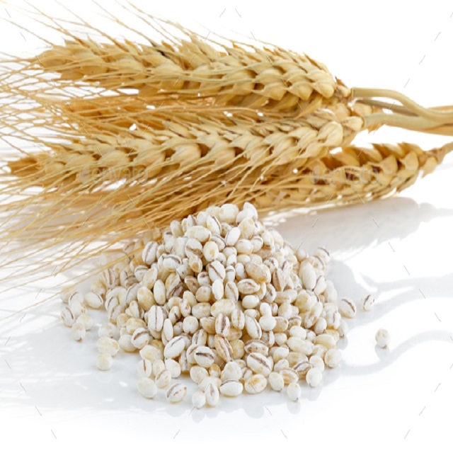 Зерновые и масличные культуры. Зерновый. Зерновый. Яровая тритикале. Зерно злаковых культур.