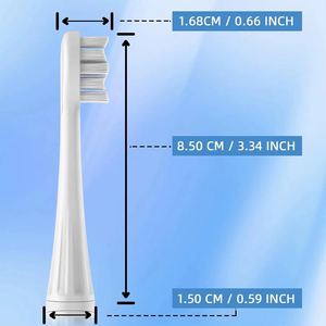 High Quality Medium Universal Replacement Brush <b>Head</b> for Electric <b>Toothbrushes</b> Household Use Electric <b>Toothbrush</b> Replacement - Product Image 2
