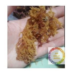 Eucheuma cottonii มอสทะเลแห้งธรรมชาติจากเวียดนามสำหรับอุตสาหกรรมอาหารเพื่อสุขภาพและความงาม - Product Image 6