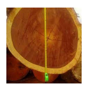 ไม้โอ๊คยุโรปจากโรมาเนียและยูเครน ลายไม้สม่ำเสมอ ได้มาตรฐานสิ่งแวดล้อมของสหภาพยุโรป ขายส่ง - Product Image 4