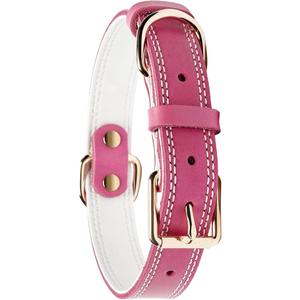 Collar de perro de cuero de brida personalizado de alta calidad patrón Floral moderno decoración de plumas tamaños disponibles pequeño mediano grande XL - Product Image 2