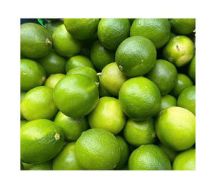 Limón Vietnamita Orgánico Sin Semillas, Calidad Premium, Fresco, Exportación Agrícola - Product Image 3