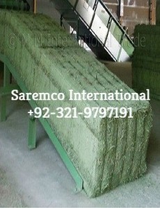 ที่มีคุณภาพสูงปากีสถานเขียวชอุ่มความชื้นควบคุมนุ่มและสะอาดโรดส์หญ้าก้อนใหญ่สำหรับการขายในปริมาณที่เป็นกลุ่ม - Product Image 5