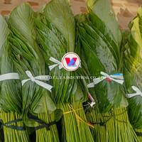 FEUILLES DE DONG FRAÎCHEMENT CONGELÉES DU VIETNAM-EMBALLAGE NATUREL POUR LA CUISINE ASIATIQUE/HIGHT-QUALITY ET À BAS PRIX!!