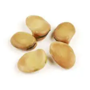 ถั่วอบแห้งถั่วฝรั่ง - Product Image 2