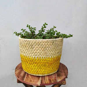 Un planteur rouge et naturel d'herbe de moonj avec un couvercle et un motif saisissant de chevron, disponible aux prix de gros. - Product Image 4