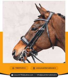 Brida de entrenamiento de cuero occidental multifuncional al por mayor, banda nasal de patente de doble brida de Venecia para caballos, banda nasal de patente negra - Product Image 3