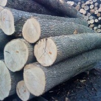 Bûches de bois d'eucalyptus australiennes et bois scié Blackbutt et gomme tachetée