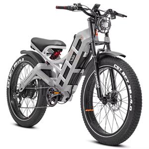 Bicicletas eléctricas de largo alcance eAhora Pro Series 5KW 80AH de la mejor calidad y alto rendimiento con batería de litio - Product Image 1