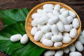 Edredón de Seda de Morera Ultra Suave, Ligero, Suave, Cálido, Transpirable, Ropa de Cama de Lujo, Manta, OEM, ODM, Logotipo Personalizado - Product Image 3