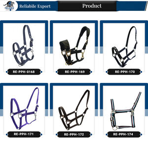 El último cabestro de cuero de nailon resistente para montar a caballo estilo inglés occidental hecho con materiales de PVC PP colección actual - Product Image 6