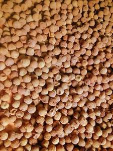 Dulzura natural Saludable Premium Dry Lychee - Product Image 3