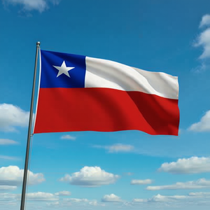 Bandera Nacional de Chile 200x300cm para Uso en Exteriores - Product Image 3