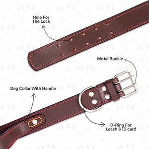 Elegante Collar de Cuero Marrón Premium para Perro, Acabado Sólido, Diseño Simple y Lujoso, para Perros Pequeños y Grandes, Duradero, Transpirable y Ecológico - Product Image 3