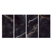 Azulejos de Porcelana Digital Esmaltada Adept de 60x120cm, Negro Brillante, Modernos, para Paredes Interiores, Antibacterianos, Aislantes del Calor