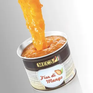 MEC3 Helado Fior D Mango Premium Mango Pasta de Postre Alphonso Mango Topping para Helado - Product Image 1