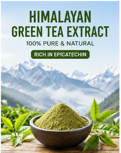 สารสกัดชาเขียวธรรมชาติ 98% EGCG ชนิดผง - Product Image 1