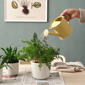 Arrosoirs classiques et modernes 'Arrosez votre monde' – Magnifiques accessoires de jardin pour l'art de l'arrosage des pots de fleurs et des jardinières - Product Image 2