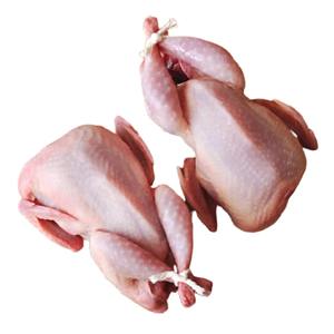 Premium Quality Frozen Whole <b>Chicken</b> Bulk Export Fully Cleaned and Trimmed with No Feathers or Bruises OEM Packaging - Product Image 4