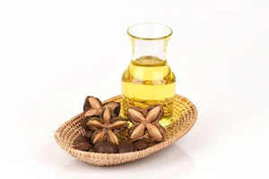 ACEITE ORGÁNICO DE SACHA INCHI EXTRA VIRGEN DE GRADO ALIMENTARIO OFERTA CALIENTE AL POR MAYOR TOP VENTAS SUMINISTRO DE EXPORTACIÓN A GRANEL PARA LA INDUSTRIA DE LA SALUD - Product Image 4