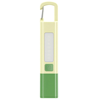 Lampe torche LED rechargeable par type C avec crochet
