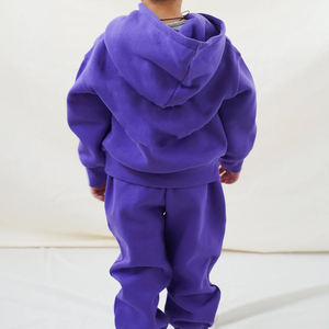 Conjuntos de Chándales para Niños Personalizados OEM, Conjunto de Dos Piezas Transpirable e Informal con Sudadera con Capucha, Felpa de Alta Calidad para Invierno - Product Image 2