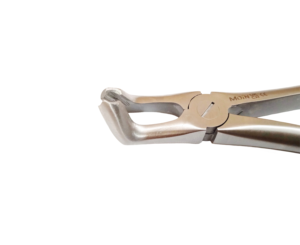 Forceps pour extrait de dent de sagesse inférieure Fig. 79, Pince d'extraction de troisième molaire, Instrument de chirurgie dentaire professionnel, Outil chirurgical autoclavable - Product Image 4