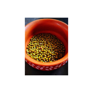 Haricots mungo verts pour les repas végétaliens riches en protéines - Product Image 1