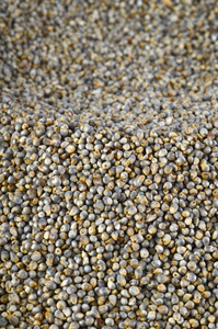 Millet perlé biologique riche en fibres et en fer, en vrac, non glutineux, grain de bajra séché, 100% naturel, sans adulteration, 12 mois - Product Image 3